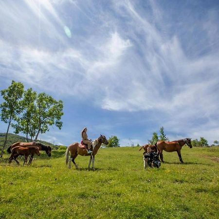 Etno Village Vojnik Savnik Buitenkant foto
