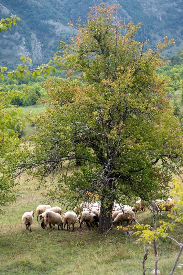 Etno Village Vojnik Savnik Buitenkant foto