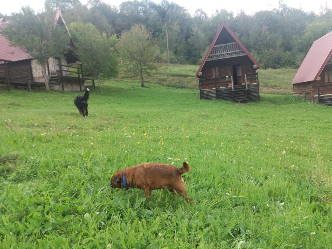 Etno Village Vojnik Savnik Buitenkant foto