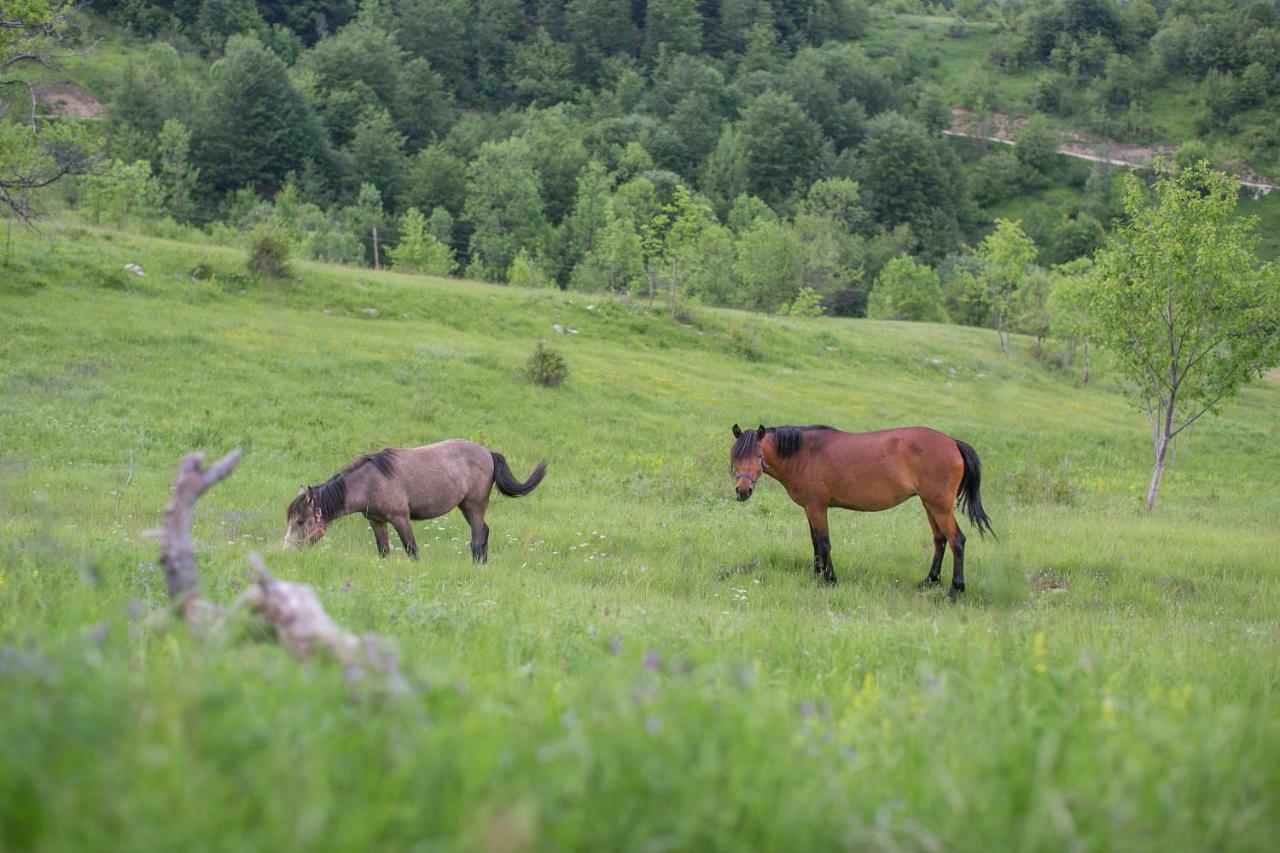 Etno Village Vojnik Savnik Buitenkant foto