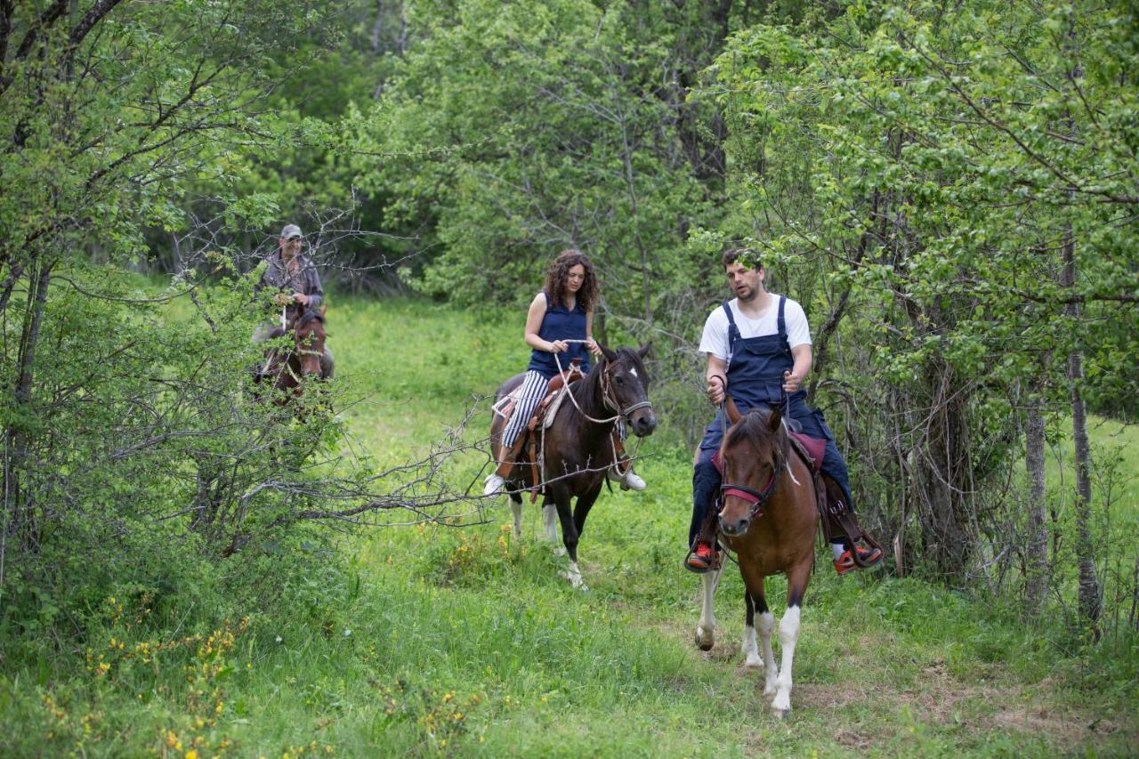 Etno Village Vojnik Savnik Buitenkant foto