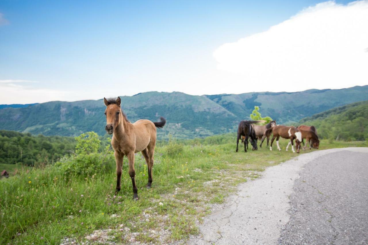 Etno Village Vojnik Savnik Buitenkant foto